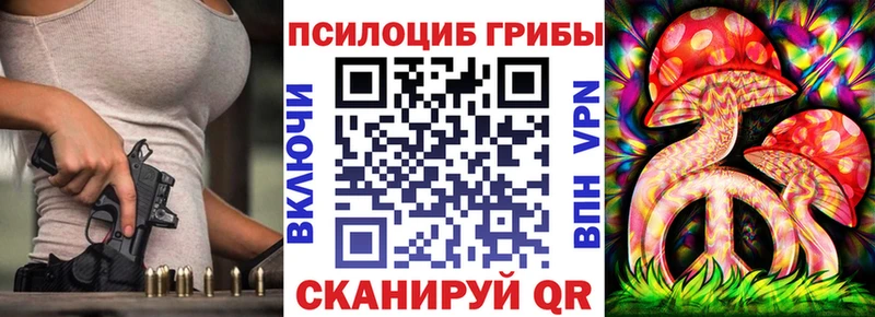 kraken как зайти  Кизилюрт  Галлюциногенные грибы Psilocybine cubensis 