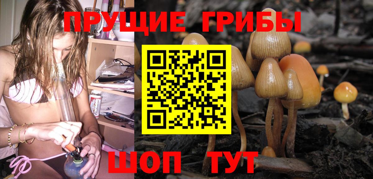 Псилоцибиновые грибы Magic Shrooms  где купить наркоту  Кизилюрт 