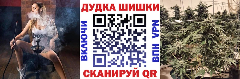 Шишки марихуана семена  где продают   Кизилюрт 